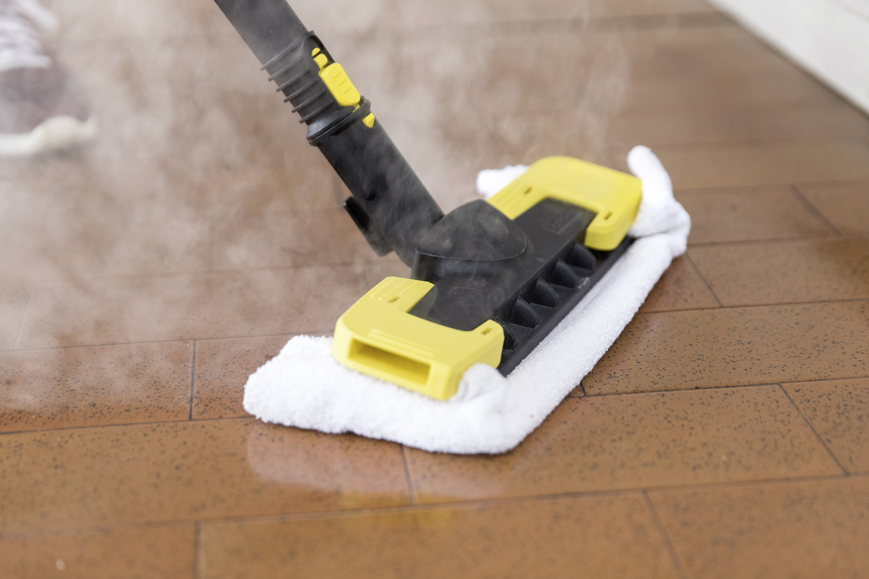 Kärcher Damprenser SG 4/4 *EU